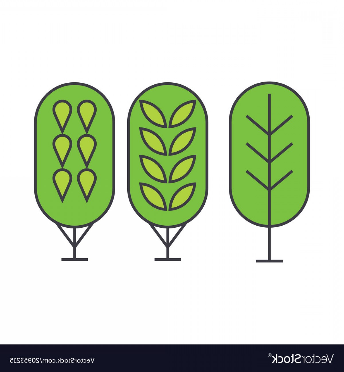 1200x1296 Birch Tree Line Icon Concept Birch Tree Flat Vector Soidergi