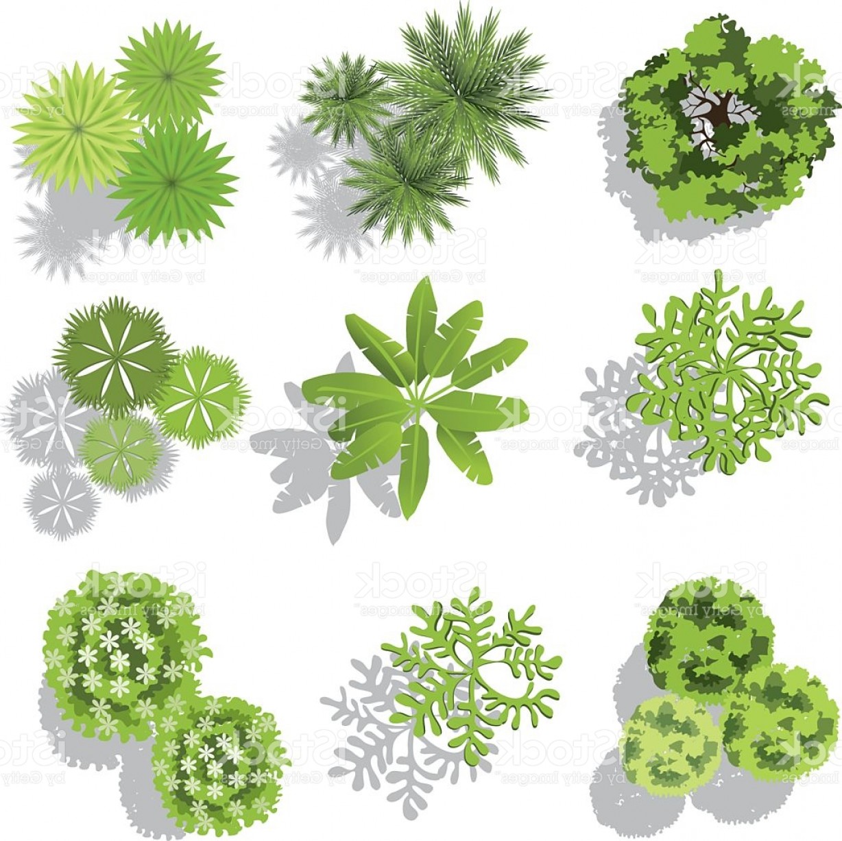 1228x1227 Landscape Architecture Tree Graphics Of Simple Set Treetop Symbols