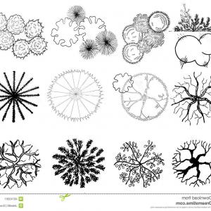 300x300 Photostock Vector Vector Illustration Of Treetop Symbols Used