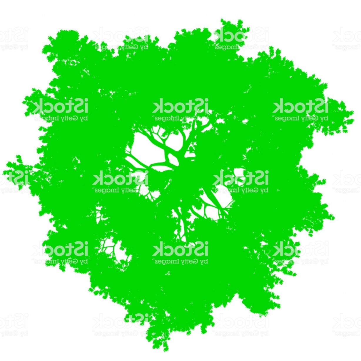 1228x1228 Tree Top View Silhouette Isolated Green Vector Gm Hoodamathrun