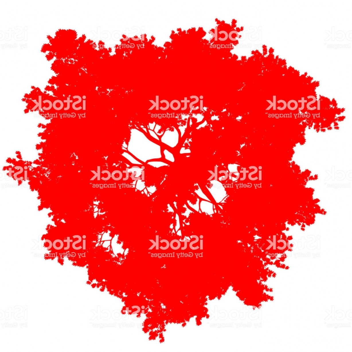 1228x1228 Tree Top View Silhouette Isolated Red Vector Gm Hoodamathrun