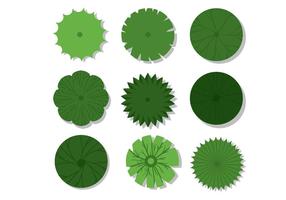 286x200 Tree Tops Free Vector Art