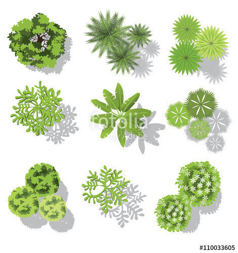 470x500 Set Of Treetop Symbols, For Architectural Or Landscape Design