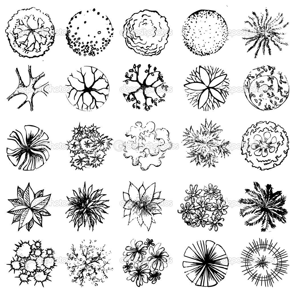1024x1024 A Set Of Treetop Symbols, For Architectural Or Landscape Design
