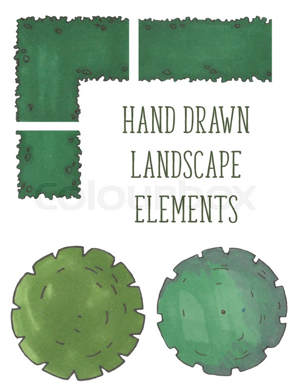 609x800 Hand Drawn Tree Top Collection, Trees Stock Vector Colourbox