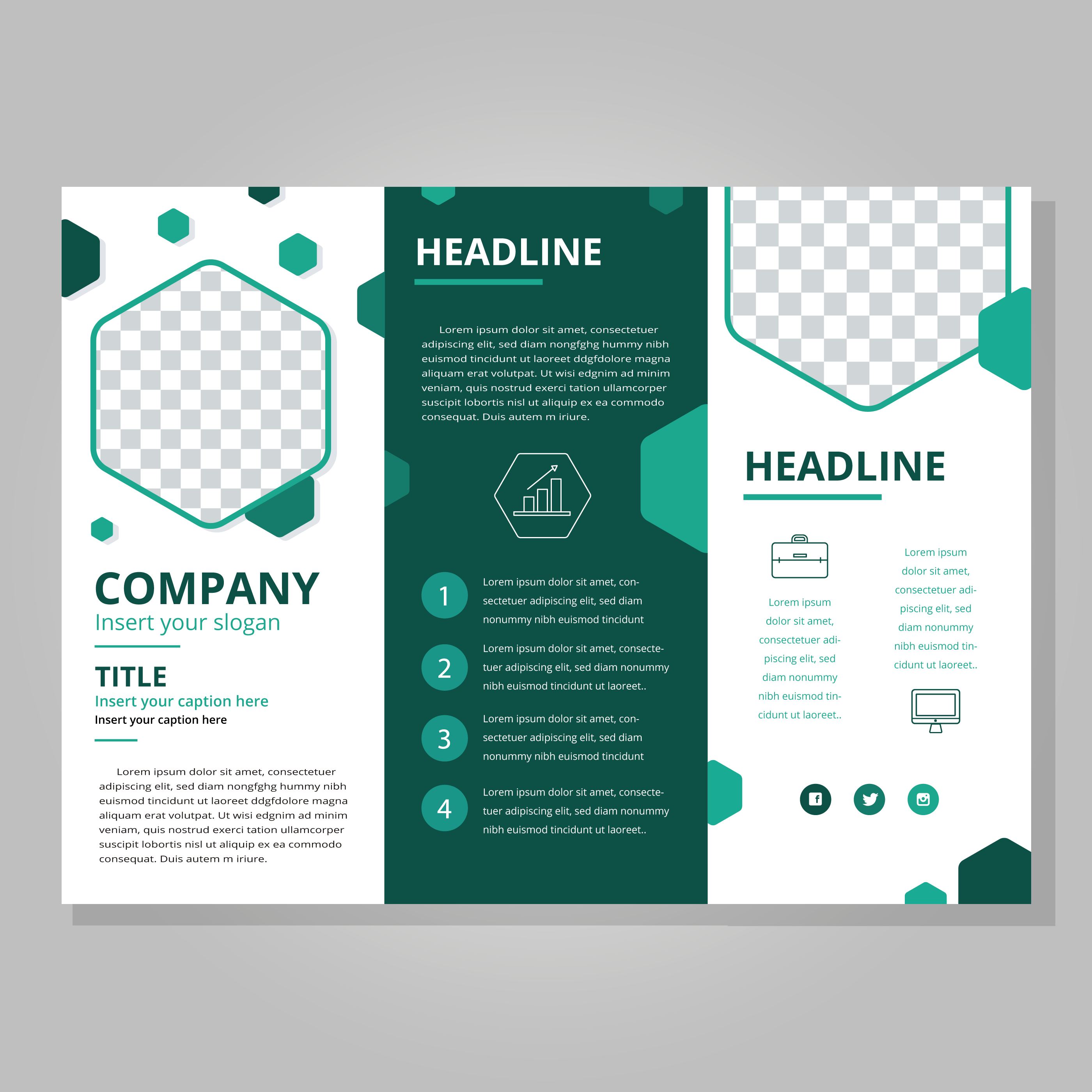 Tri Fold Brochure Design Vector