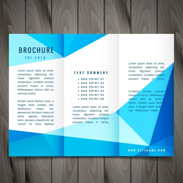 626x626 Modern Trifold Brochure Design Vector Free Download