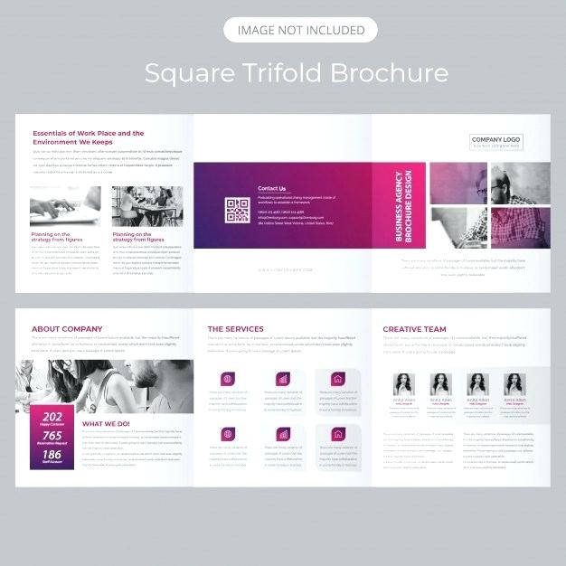 626x626 Square Brochure Template Premium Vector Square Trifold Brochure