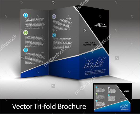 585x476 Tri Fold Brochure Templates