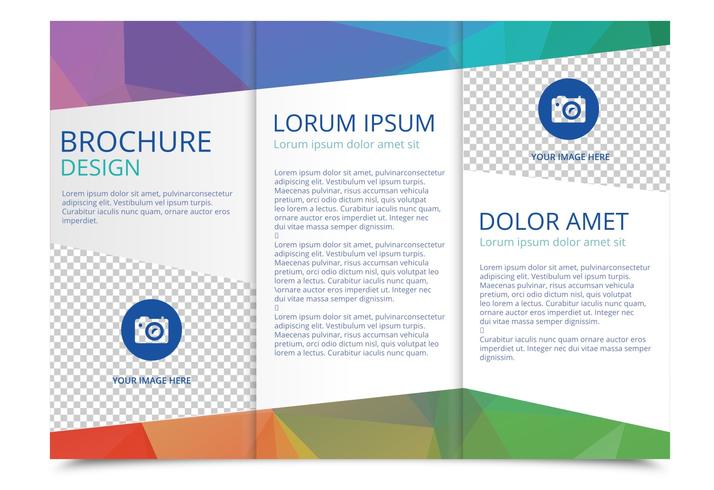 714x490 Tri Fold Brochure Vector Template