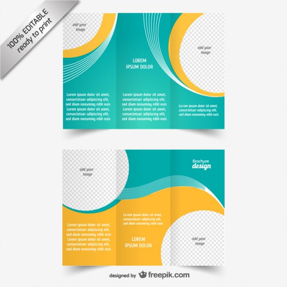 585x585 Tri Fold Brochure Templates