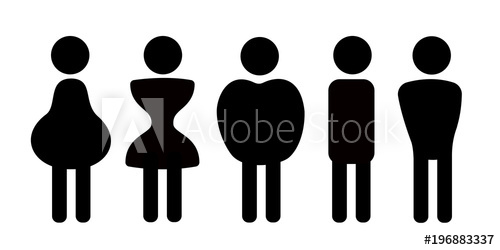 500x250 Different Body Shapes, Physique Frames And Types Of Figures