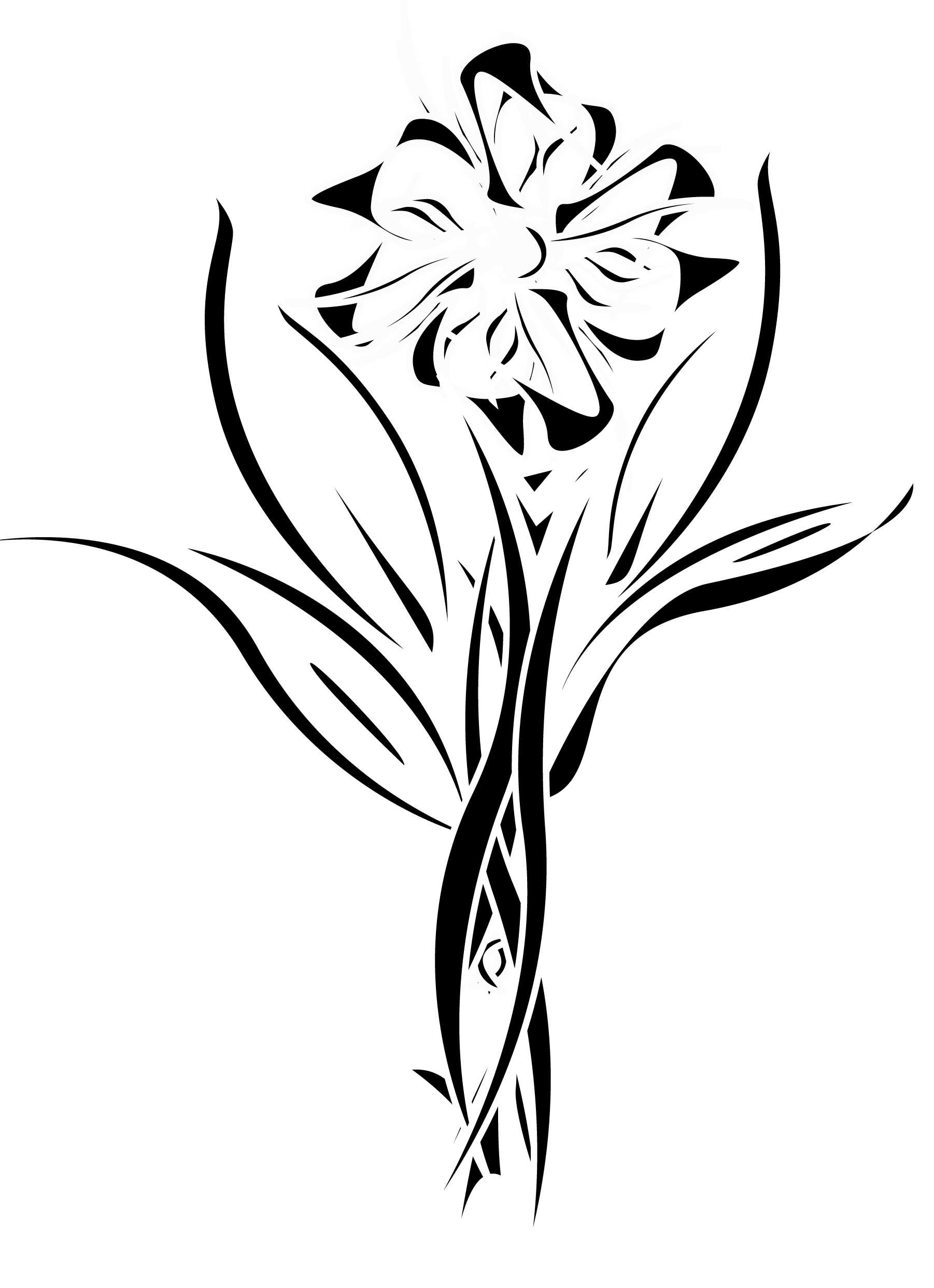 1802x2484 Flower Tribal