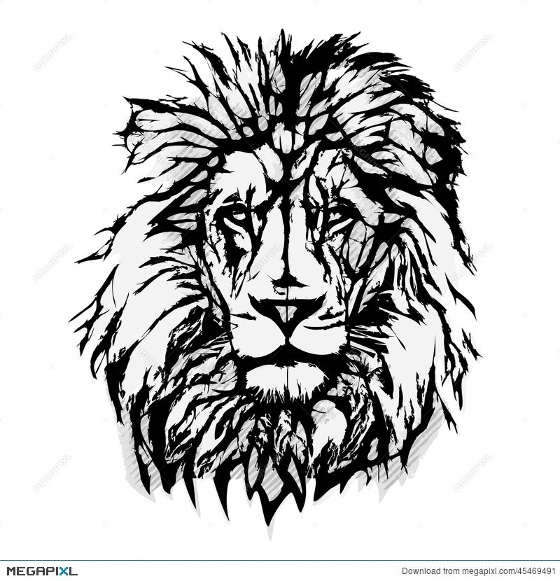 Lion Head Graphic Misc Tribal Lion, Lion Illustration, Lion Tattoo 800x830 Lion Head Graphic Misc Tribal Lion, Lion Illustration, Lion Tattoo