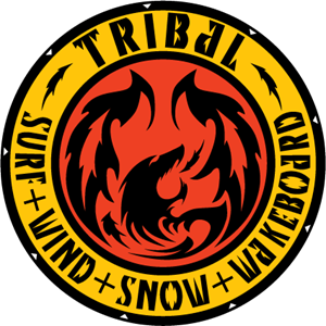 300x300 Tribal Logo Vector