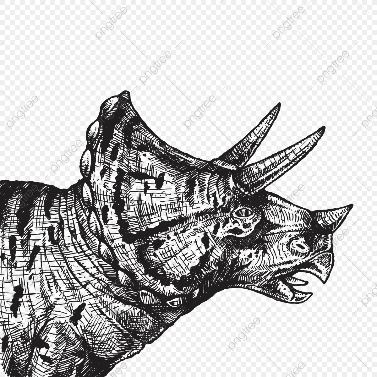Hand Drawing Dinosaurs Triceratops, Jungle, Wildlife, Doodle Png 1200x1200 Hand Drawing Dinosaurs Triceratops, Jungle, Wildlife, Doodle Png