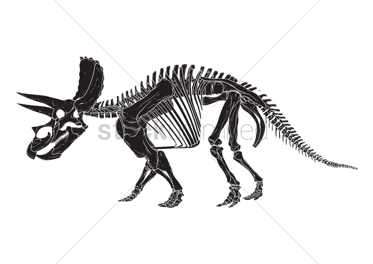 Triceratops Vector Image 1300x919 Triceratops Vector Image