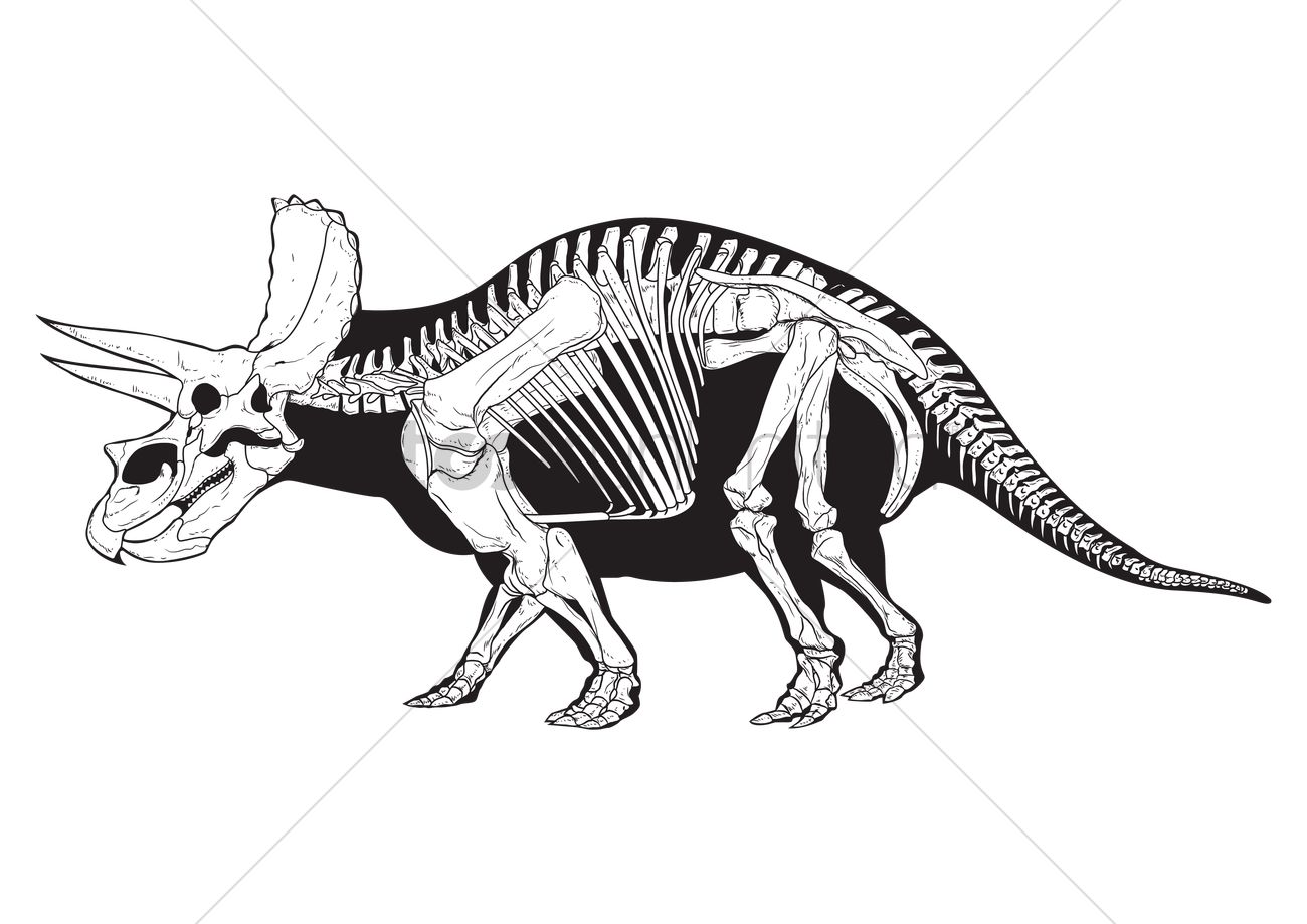 Triceratops Vector Image 1300x919 Triceratops Vector Image
