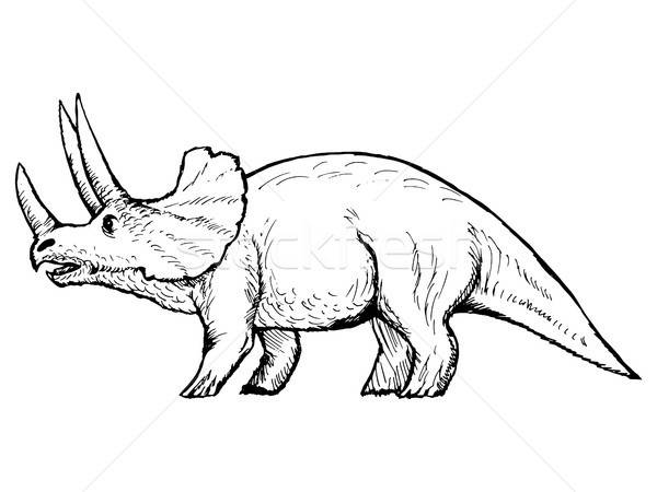 Triceratops Vector Illustration Oleksandr Kovalenko 600x450 Triceratops Vector Illustration Oleksandr Kovalenko
