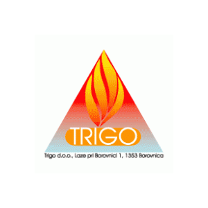 300x300 Trigo Logo Vector