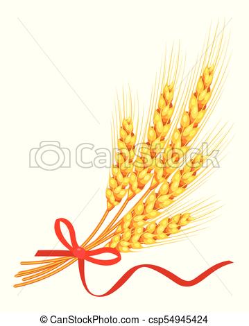 359x470 Trigo, Vector Isolated Vector, Cinta, Plano De Fondo