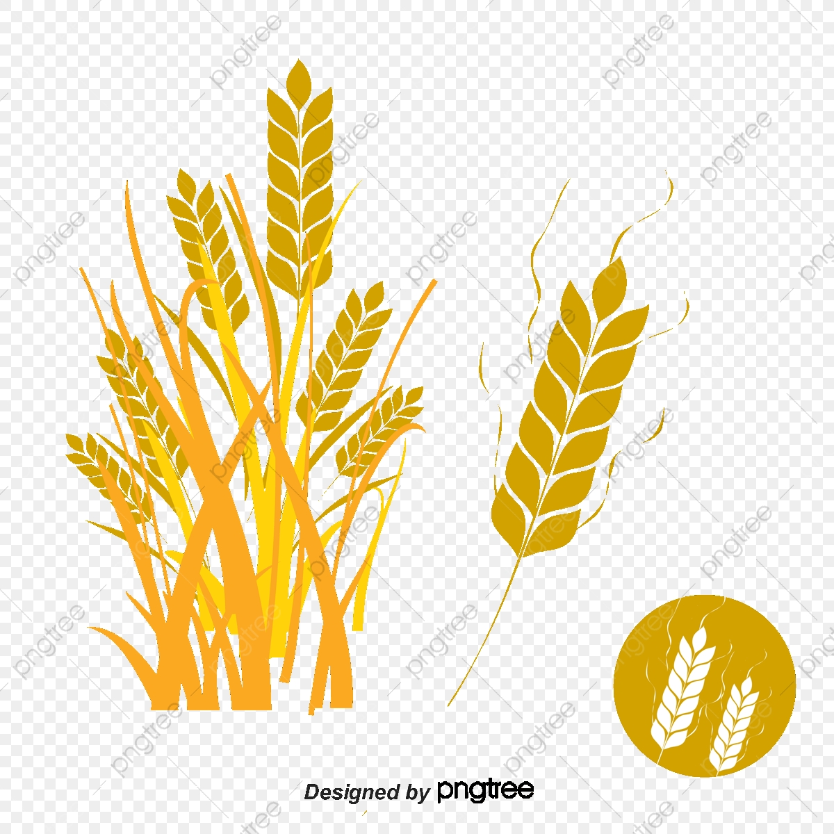 1200x1200 Decorative Brown Trigo Trigo, Decoracion, Vector, Trigo Trigo Png