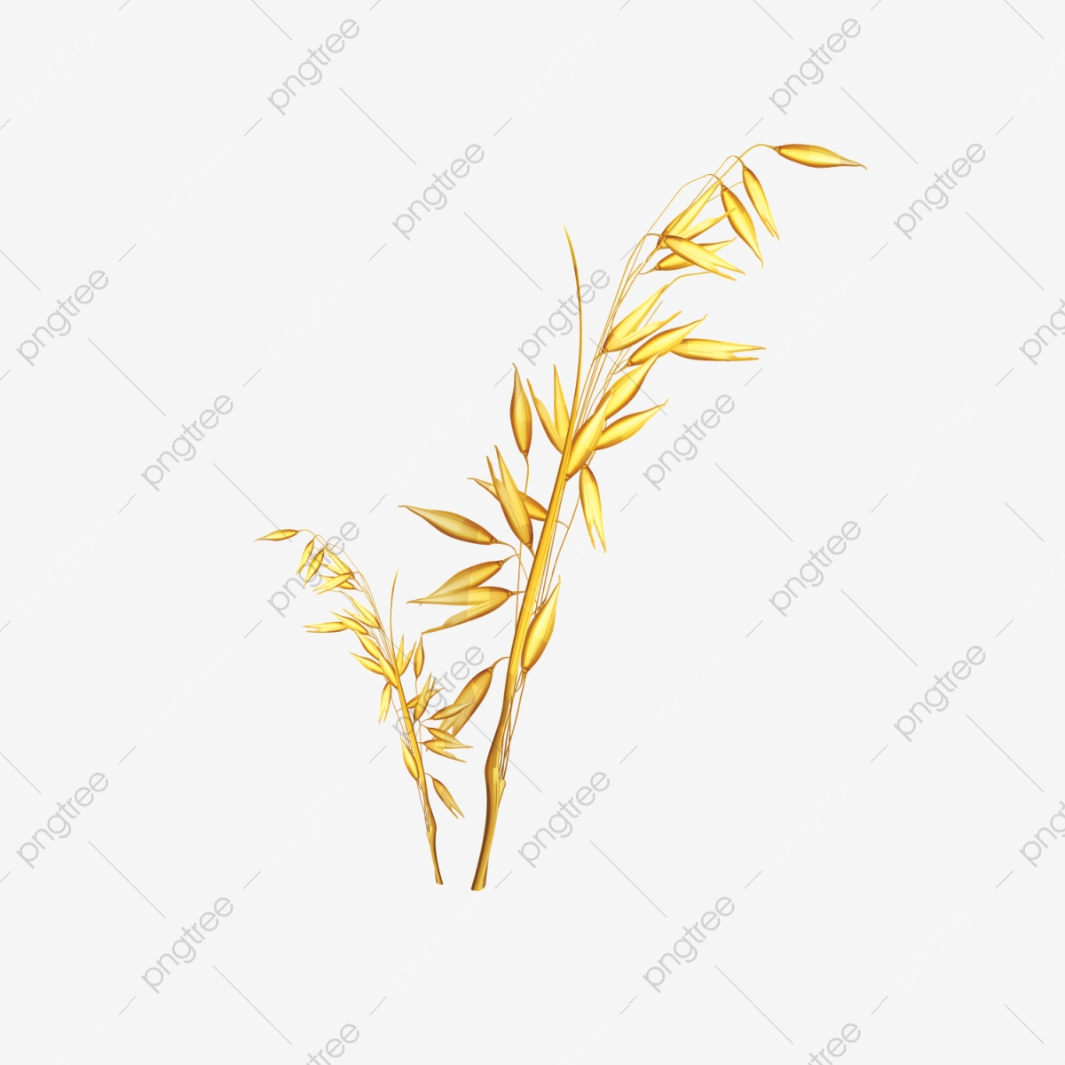 1200x1200 Vector De Trigo, Vector, Trigo, Vector De Trigo Png Y Vector Para