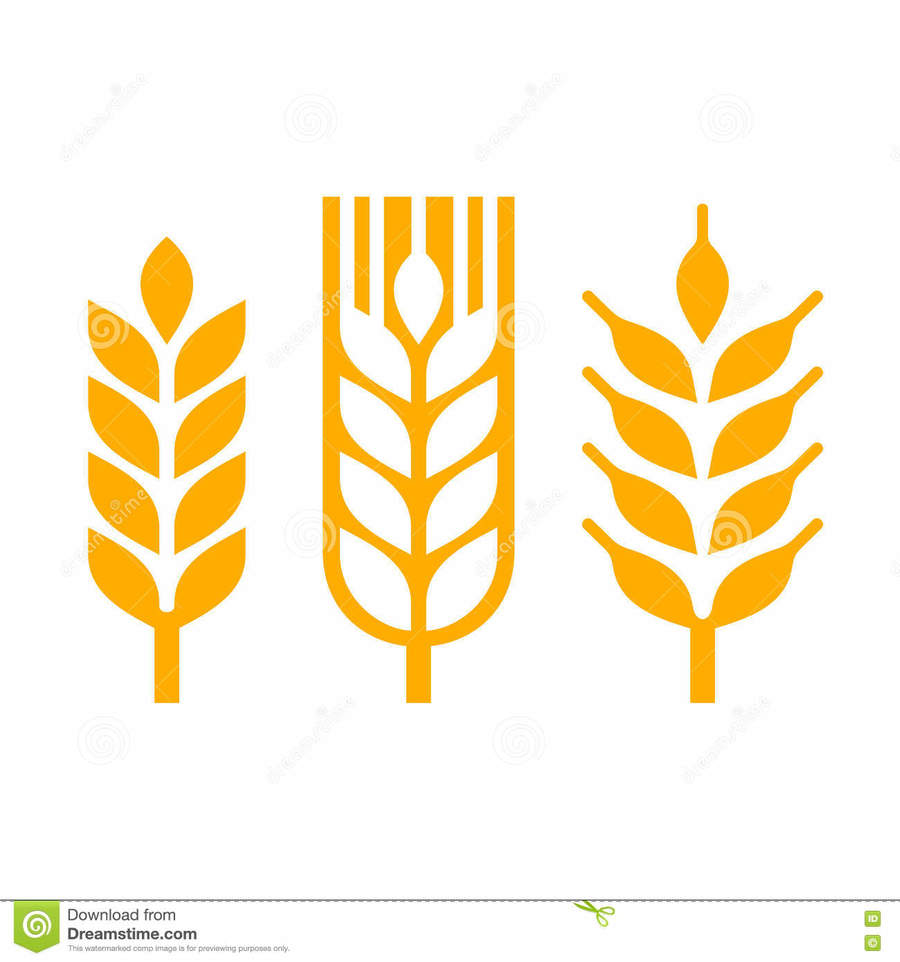 900x962 Download Trigo Vector Clipart Wheat