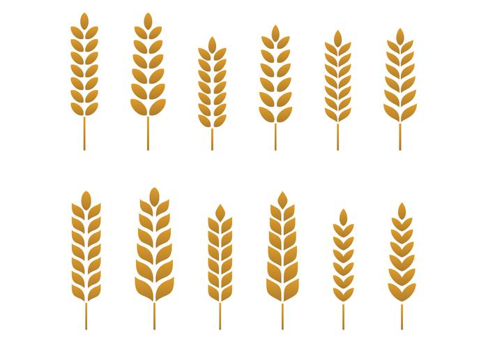 700x490 Wheat Free Vector Art