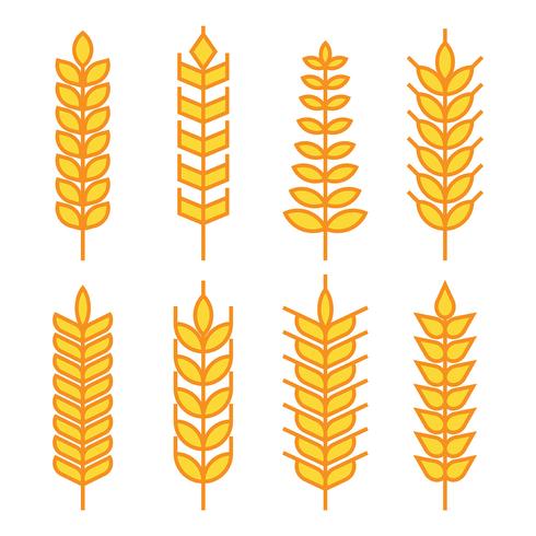 490x490 Orejas De Trigo Vector Iconos