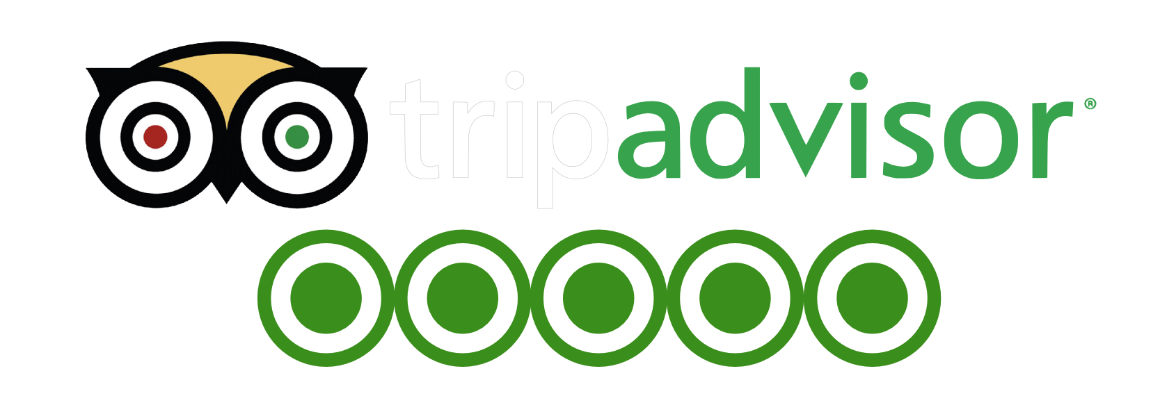 1667x570 Tripadvisor Logo Png