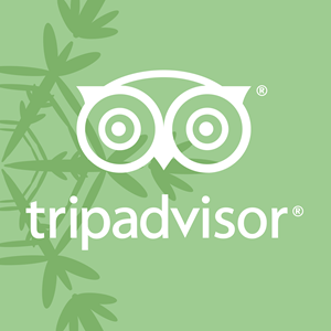300x300 Tripadvisor Logo Vectors Free Download
