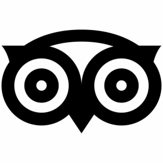 320x320 Hd Tripadvisor Logo Png Free Unlimited Download