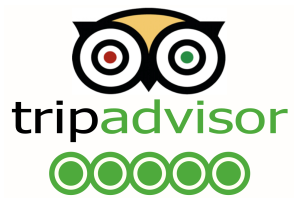 Tripadvisor Logo Vector Tripadvisor Logo Vector 300x202 Tripadvisor Logo Vector Tripadvisor Logo Vector