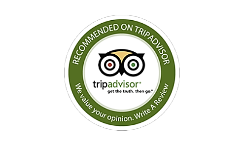 495x300 Tripadvisor Logo Icon