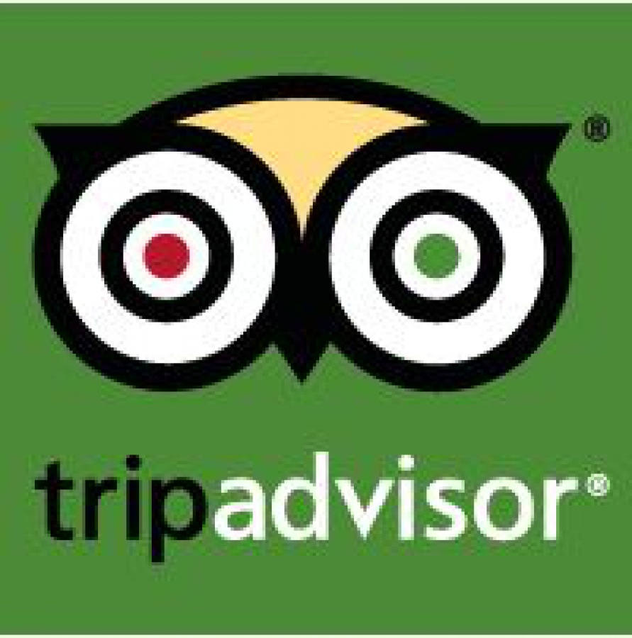 891x900 Tripadvisor Icon Vector