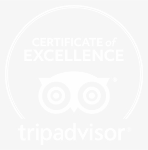 300x303 Tripadvisor Logo Png Download Transparent Tripadvisor Logo Png