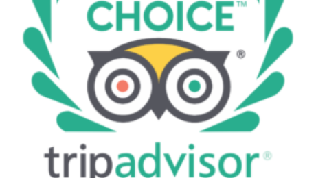 460x260 Blog Usa Guided Tours Ny Blog