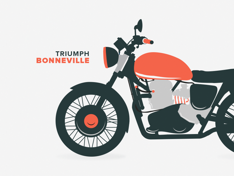 800x600 Triumph Illustration