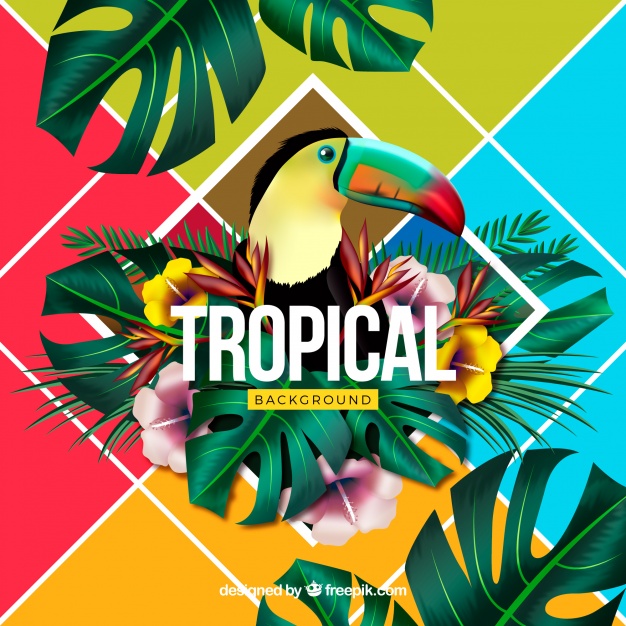 Tropical Background Vector