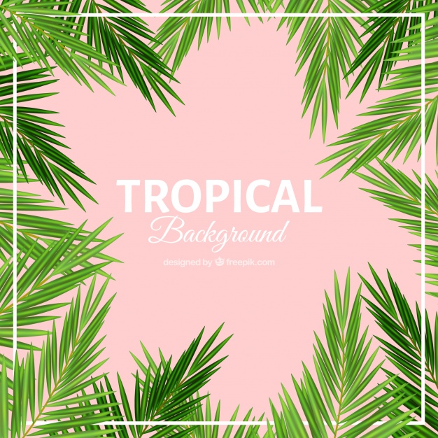 Palm Leaves Tropical Background Vector Free Download 626x626 Palm Leaves Tropical Background Vector Free Download