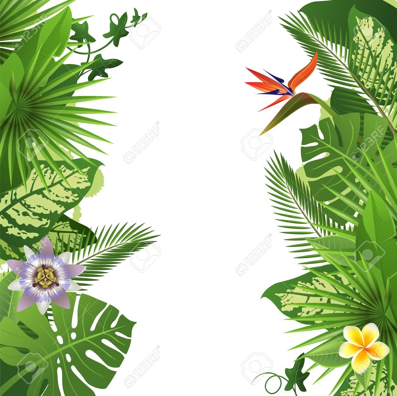 Stock Vector Mark's Stuff Tropical Background, Plants, Plant 1300x1299 Stock Vector Mark's Stuff Tropical Background, Plants, Plant