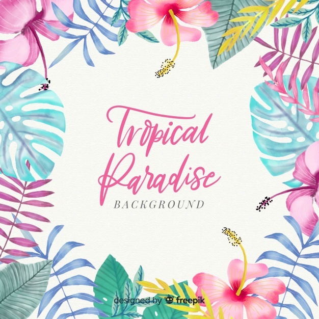 Tropical Vectors, Photos And Free Download 626x626 Tropical Vectors, Photos And Free Download