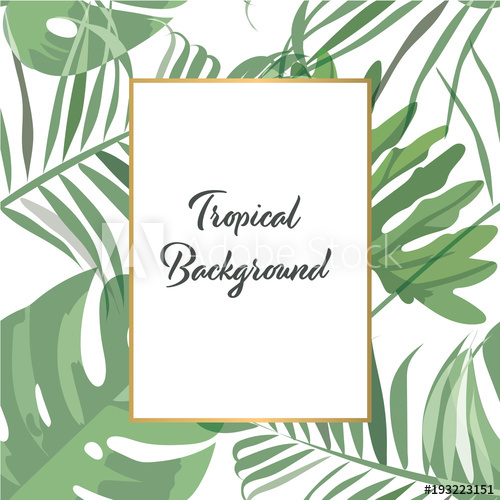 Tropical Background Vector Green Forest Pattern For Invitation 500x500 Tropical Background Vector Green Forest Pattern For Invitation