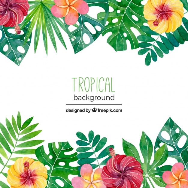 Tropical Background With Leaves And Flowers In Watercolor Style 626x626 Tropical Background With Leaves And Flowers In Watercolor Style