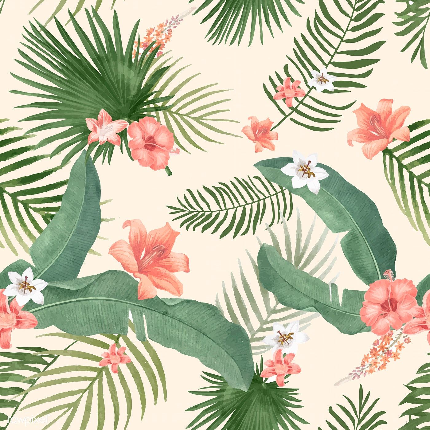 Tropical Background With Palm Leaves Illustration Free Image 1400x1400 Tropical Background With Palm Leaves Illustration Free Image