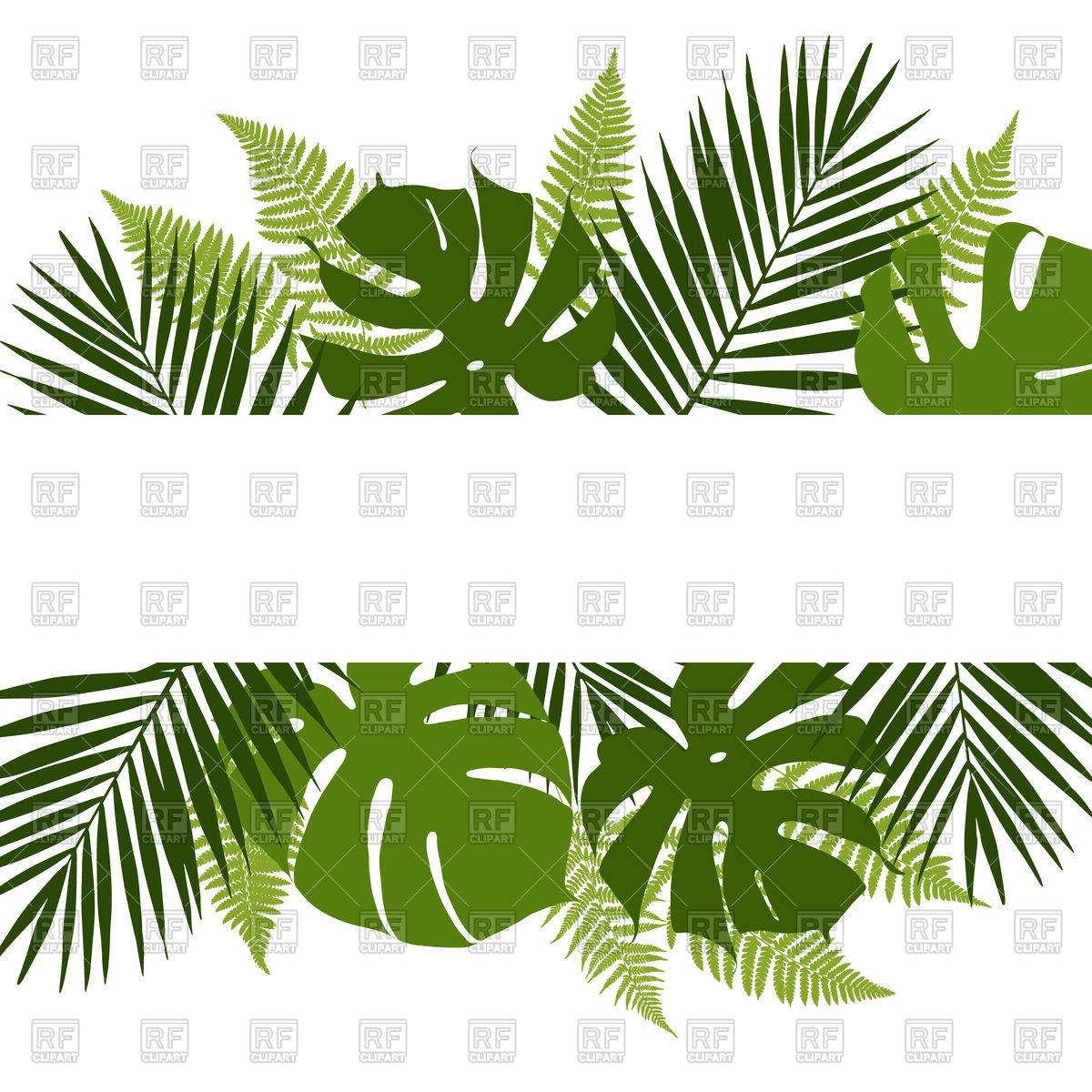 Tropical Leaves Background With White Banner Vector Image 1200x1200 Tropical Leaves Background With White Banner Vector Image