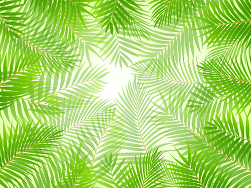 Elements Of Tropical Scenery Background Vector Free Vector 500x376 Elements Of Tropical Scenery Background Vector Free Vector