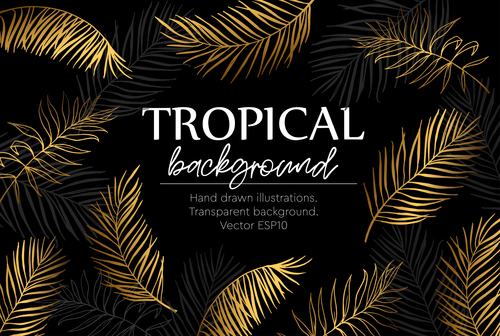 Gold Palm Tropical Background Vector Free Download 500x336 Gold Palm Tropical Background Vector Free Download