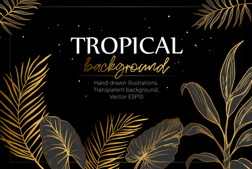 Gold Palm Tropical Background Vector Free Download 500x336 Gold Palm Tropical Background Vector Free Download